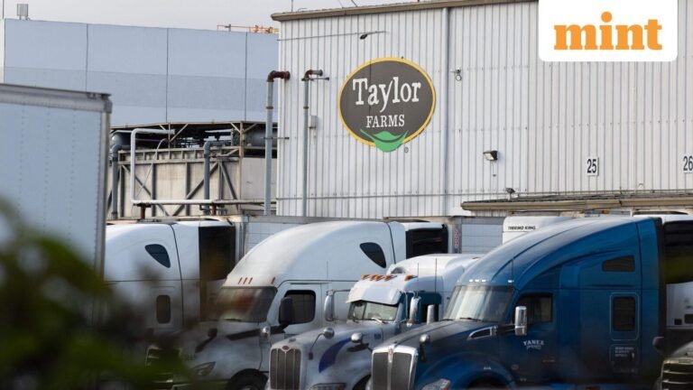 Cyclosporiasis outbreak in US: Taylor Farms supplier recalls lettuce from central Mexico as thousands become ill | Today’s news