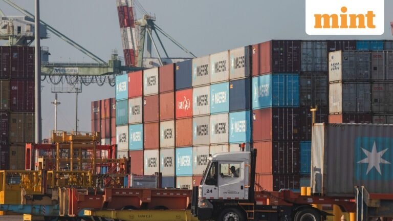 Explained: Why India Banned Import of Goods Made by Forced Labor | Today’s news