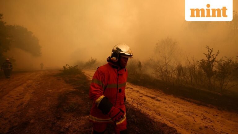 What are fire clouds or pyrocumulonimbus? How they originated over the French fires — Explained | Today’s news
