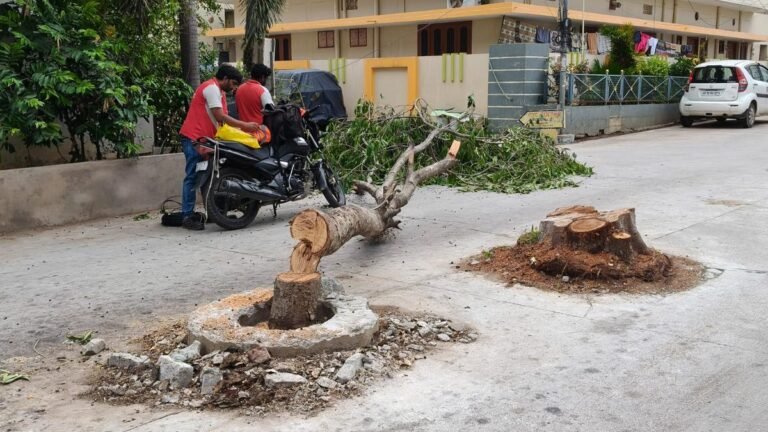 A drunken brawl leads to felling of fully grown peepal and jamun trees in Hyderabad