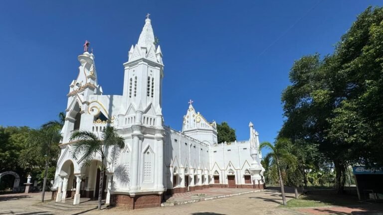 Dark Earth and Church of the Assumption in Chennai