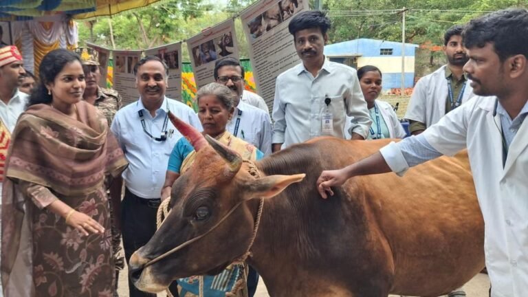 The journey to vaccinate cattle against foot-and-mouth disease begins in Vellore, Ranipet