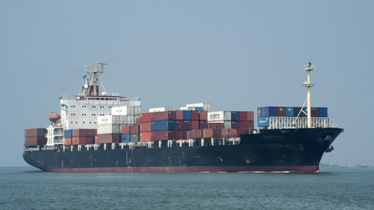 The government is stepping in as the shipping shake-up exposes the vulnerability of containers
