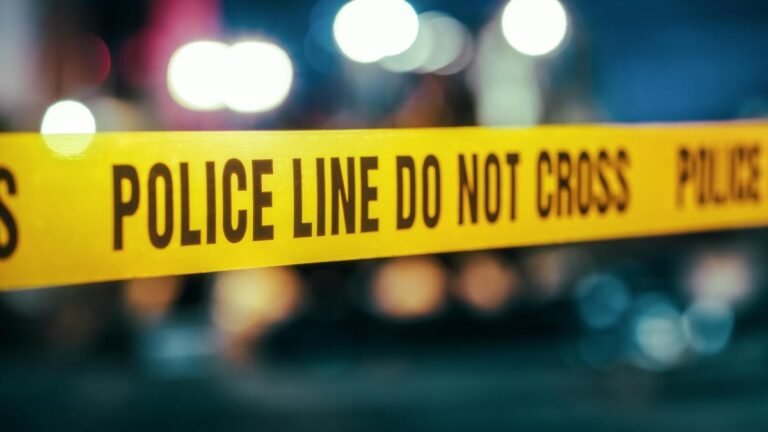 Another three are being held in the Bengali lynching case