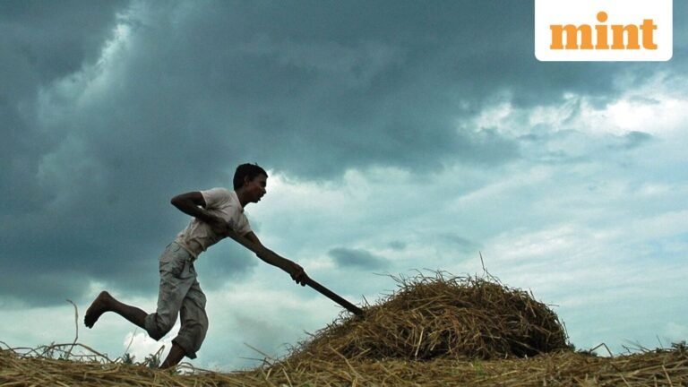 The monsoon advances further across northern, central India; rain to support kharif sowing | Today’s news