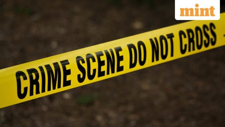 AI engineer stabs girlfriend to death in Gurugram PG days after they moved in, kills himself | Today’s news