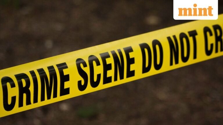 Delhi violence: 10-year-old boy lands in ICU after mob attack in Mayur Vihar | Today’s news