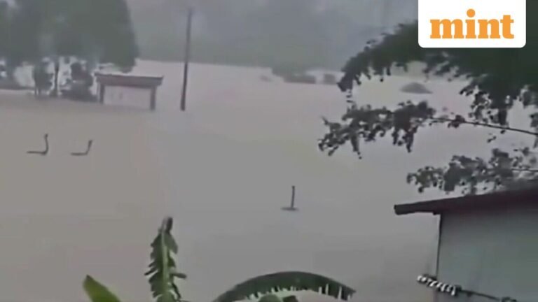 Flooding in China: More than 900 snakes crawled out of breeding farms in Guangxi; authorities race to capture them | Today’s news