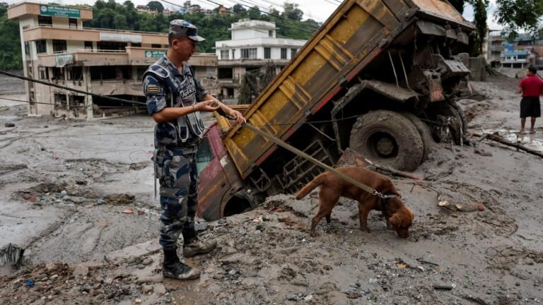 Andhra Pradesh government steps up efforts to trace Telugus stranded in Nepal floods