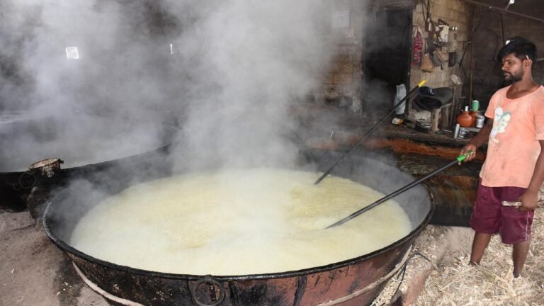 Sugar price hike: Karnataka farmers seek nod for huge ethanol units