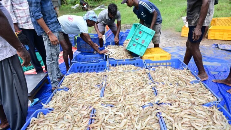 Fishermen are planning a protest to demand land rights, reservation