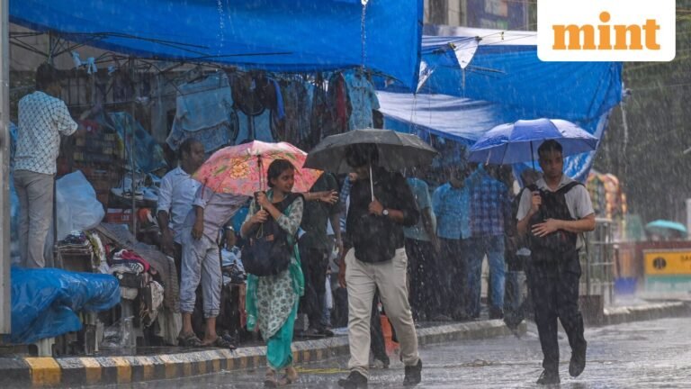India to see widespread rainfall during the week: IMD | Today’s news