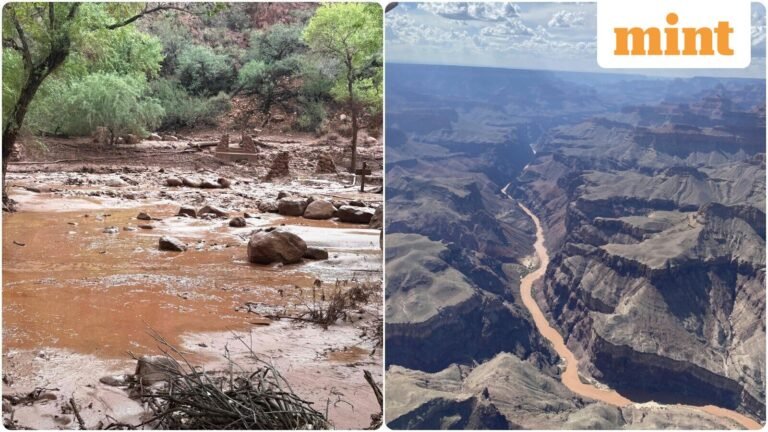 Grand Canyon flood: 15 people ‘missing’, dozens evacuated, heavy rainfall today could cause ‘more flash flooding’ | Today’s news