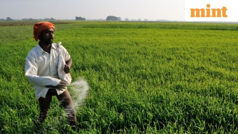 Fertilizer management gets digital overhaul for comprehensive tracking, subsidy targeting | Today’s news
