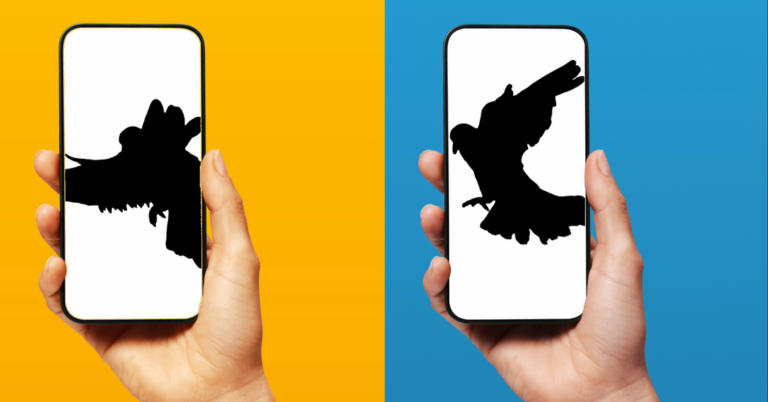 What if your texts traveled as slowly as a carrier pigeon?