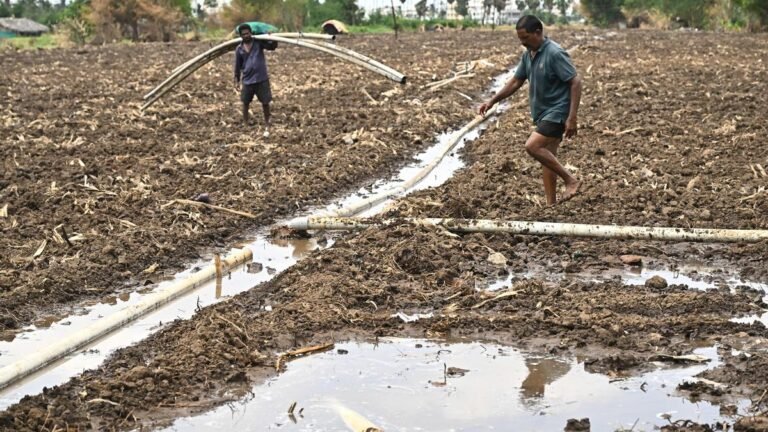 Andhra Pradesh farmers are caught between climate uncertainty and financial risk