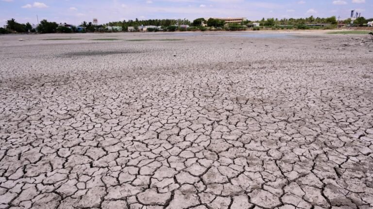 Tamil Nadu among prominent drought hotspots as southern peninsular India sees strongest drought trend: study