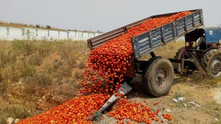 Why Rayalaseema farmers fear bumper crop more than drought; can a ₹ 1-lakh-crore horticulture center change that?