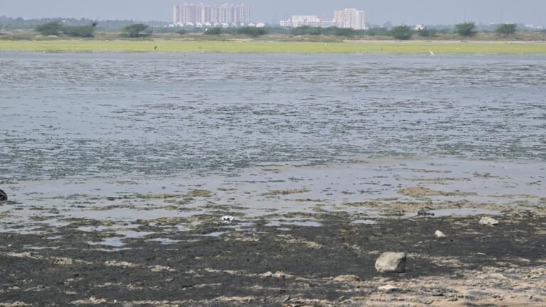 What is the Mamallan Reservoir project in Tamil Nadu and why is it opposed? | Explained