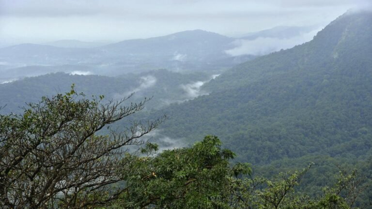 Conservation of Western Ghats: Section of residents, environmentalists against claims of Karnataka politicians