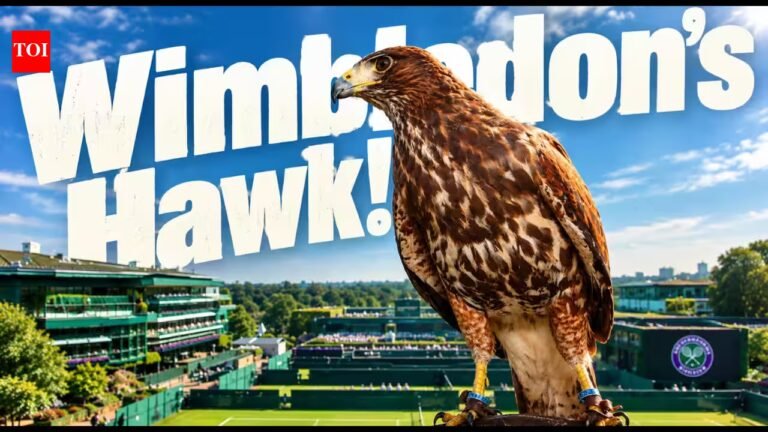 Every Wimbledon morning for the past 18 years, a trained hawk called Rufus has been released to fly over the grounds. His only job: to scare the pigeons before the game starts