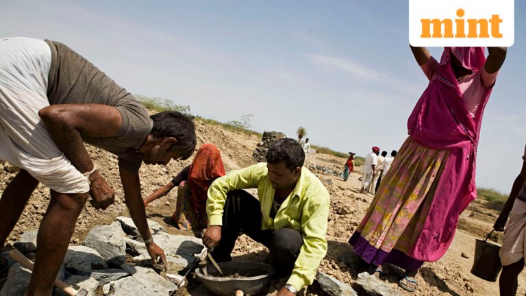 The NSO survey shows a small group of districts with part of the informal economy | Today’s news
