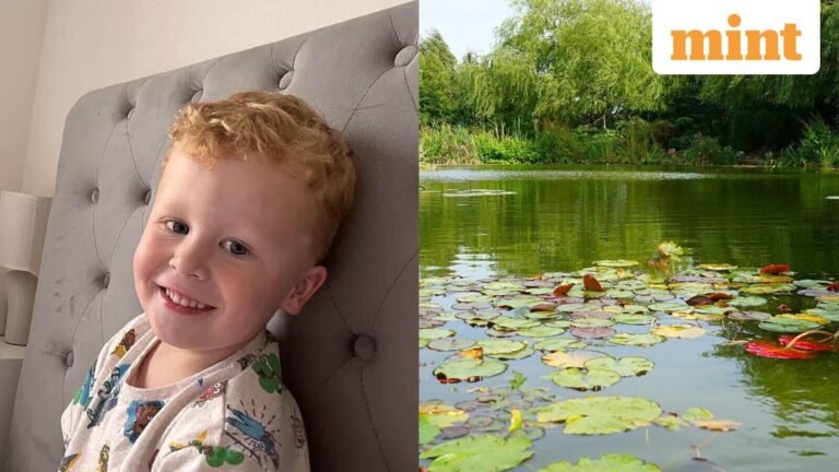 Death of Noah Woods: Inquest heard how three-year-old non-verbal boy died in Suffolk Pond | Today’s news