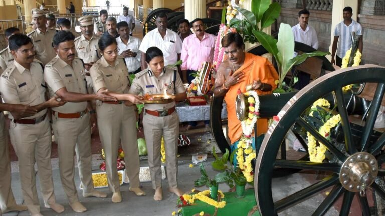 The palace cannons were ready to meet the Dasar elephants