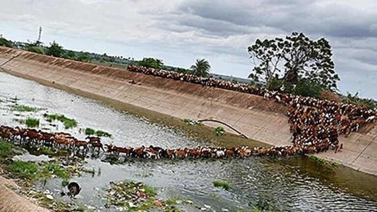 Boy’s body found, search for father, uncle who swept away in Galeru-Nagari canal