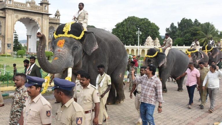 The second batch of Dasara elephants arrived at the Mysuru Palace