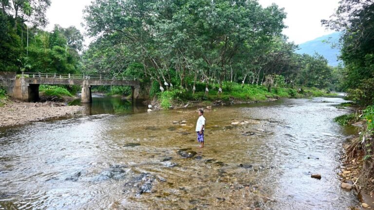 Zones of concern: Lives on the boil on forest fringes in Keralam after new ESA announcement
