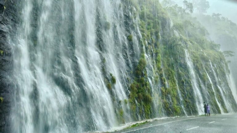 Western Ghats ESA: Keralam submits recommendation to Centre, seeks restriction of area to 8,590 km2