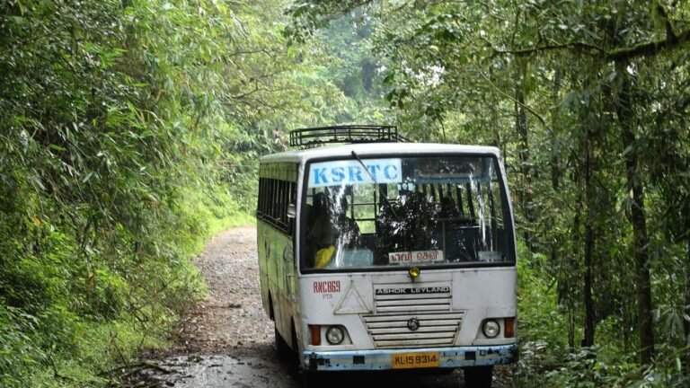 17 injured when giant bees swarm a KSRTC bus near Gavi in ​​Kerala
