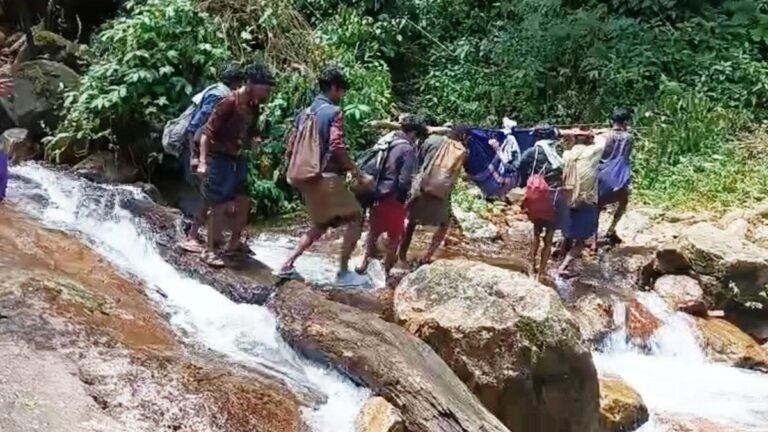 The Forest Department is preparing a road development proposal to Edamalakkudy panchayat in Idukki, Kerala