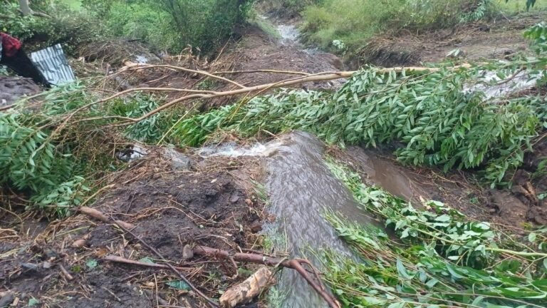 Two people were killed and one injured in a mudslide in Kerala’s Kottakkamboor