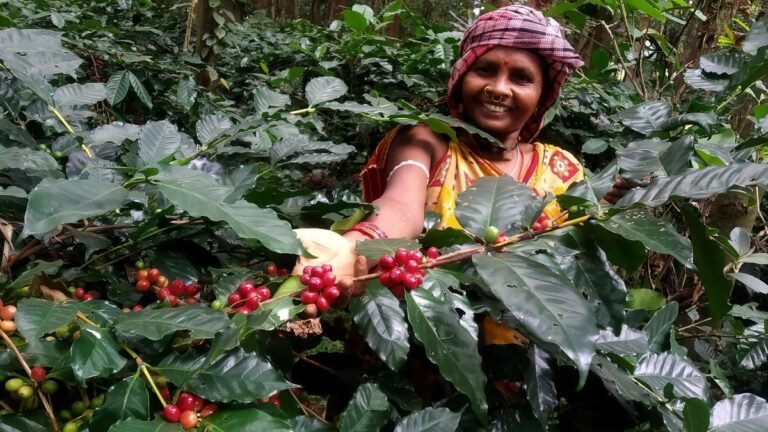 A taste of Odisha at the BRICS summit: Koraput coffee handed over to global delegates
