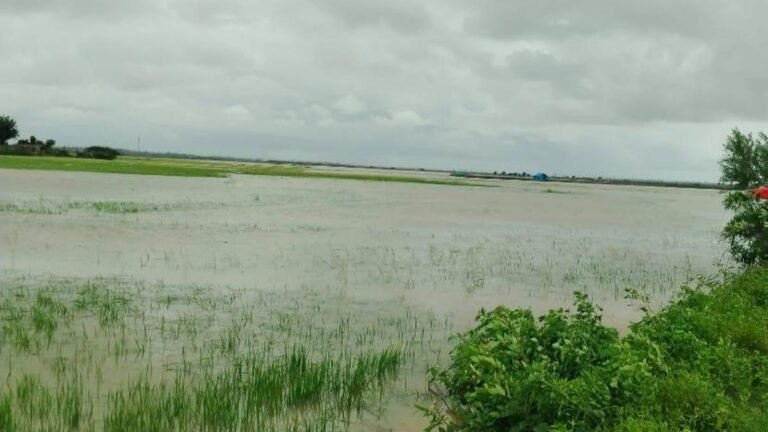 The minister provides relief for submerged agricultural land in Srikakulam district