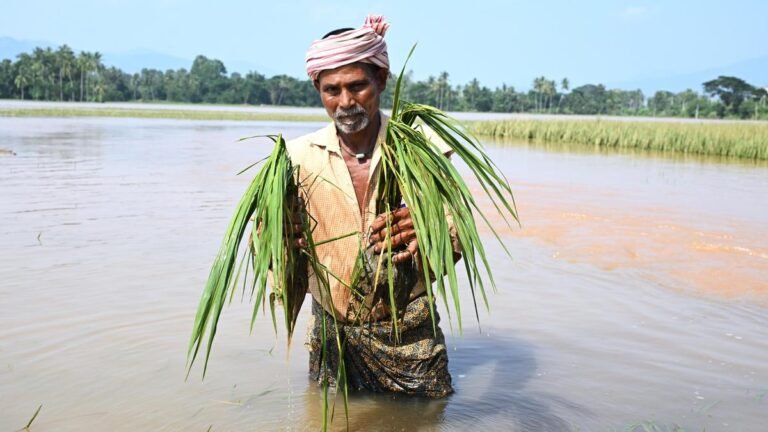 Floods damaged crops of 71,796 farmers and 2,405 km of roads in Andhra Pradesh; Godavari rises again