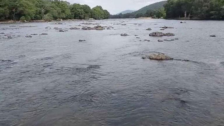 Karnataka appeals to CWMA to reduce water discharge