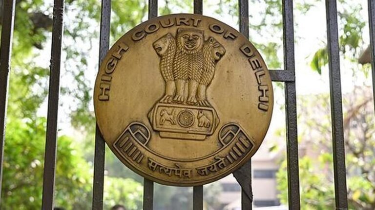 Booth level agents are only responsible for verifiable information in SIR: Delhi High Court