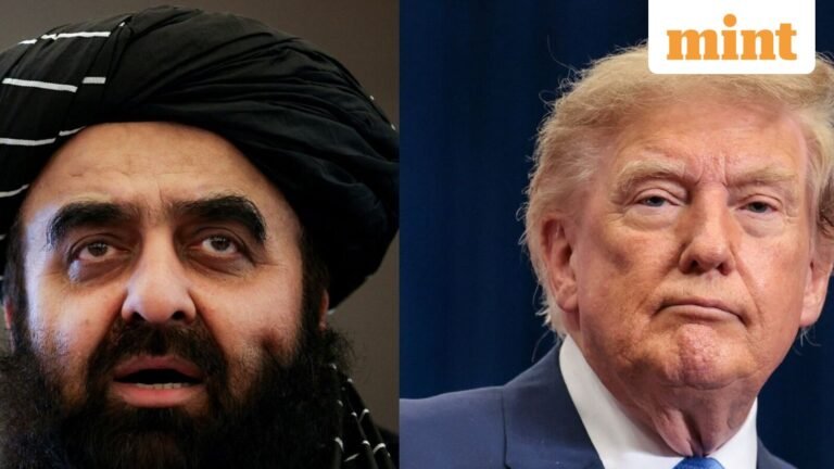 Afghanistan’s $1 trillion mineral wealth: Taliban offering access to US investors? What is behind it? | Today’s news