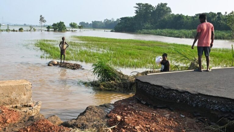 The floods cost Andhra’s Srikakulam about ₹150 million; Allina rice fields still under water