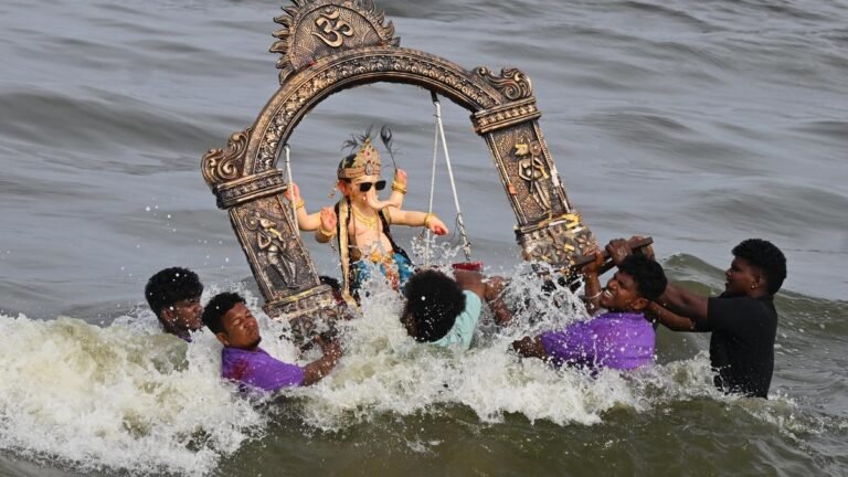 TNPCB requests public to opt for eco-friendly Vinayagar idols
