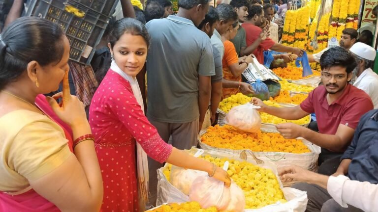 Vijayawada decorated for Ganesh Chaturthi