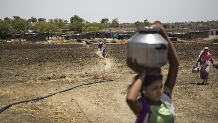 Maharashtra farmers stage protests, seek aid against drought; doing everything possible, he will not let them suffer: CM
