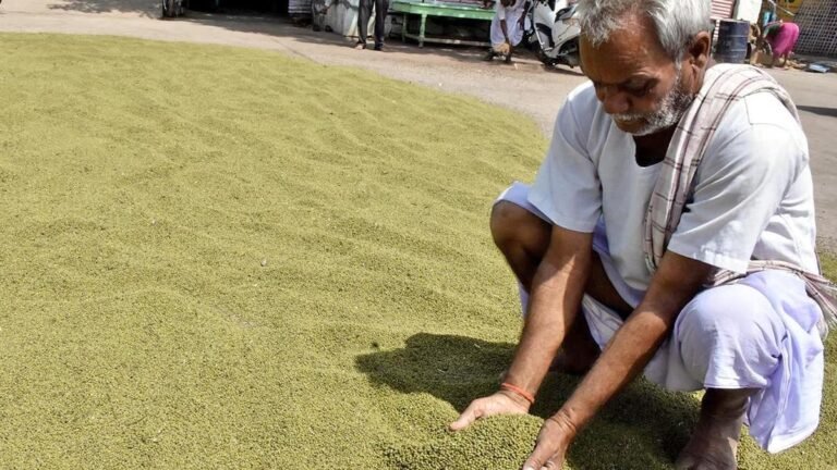 Center agrees to procure sunflower, green gram, soybeans for SMEs in Karnataka