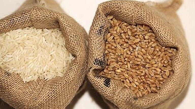Over 6,000 kg of rice, wheat allegedly diverted from ration shops seized in Kerala