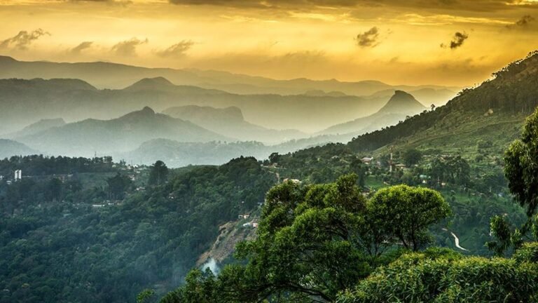 The Orthodox Church seeks to exclude populated areas from the Western Ghats ESA