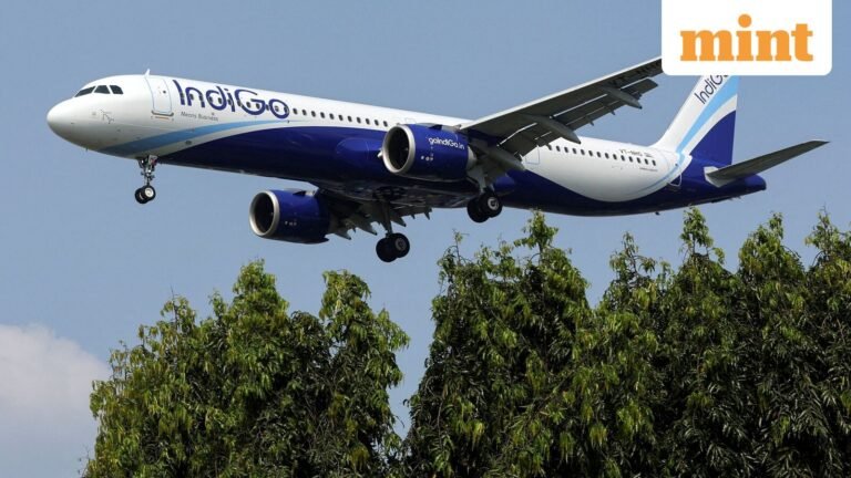 IndiGo revises surcharges: 50% travel for small children, excess baggage now ₹800/kg | Here is the amount you need to pay now | Today’s news