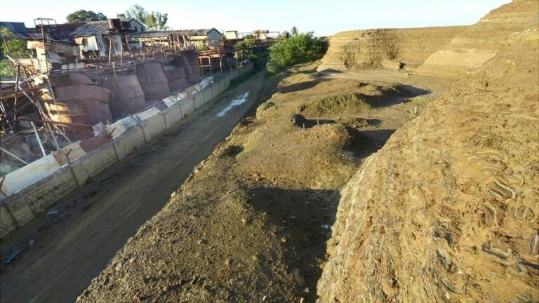 To increase its gold production capacity, Bengaluru firm Deccan Gold Mines has forayed into the critical mineral sector
